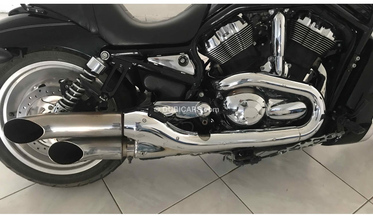 Harley-Davidson VRod 1259 CC