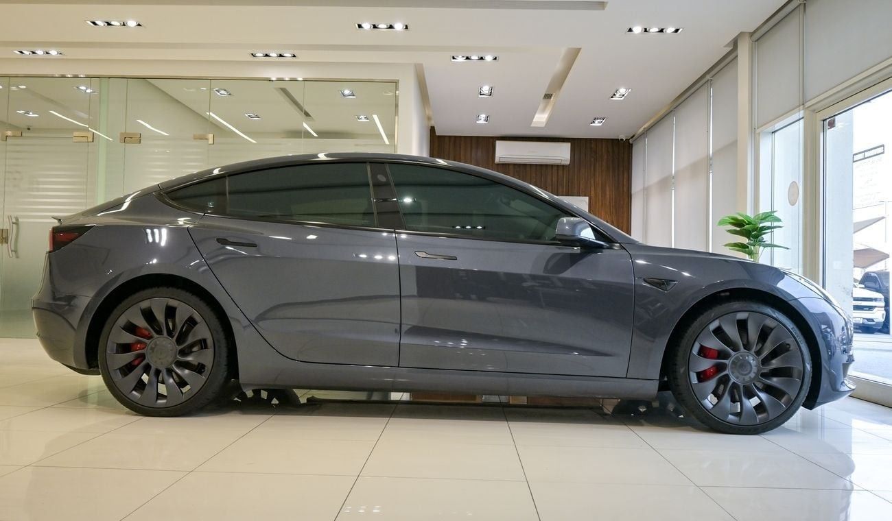 Tesla Model 3 Performance