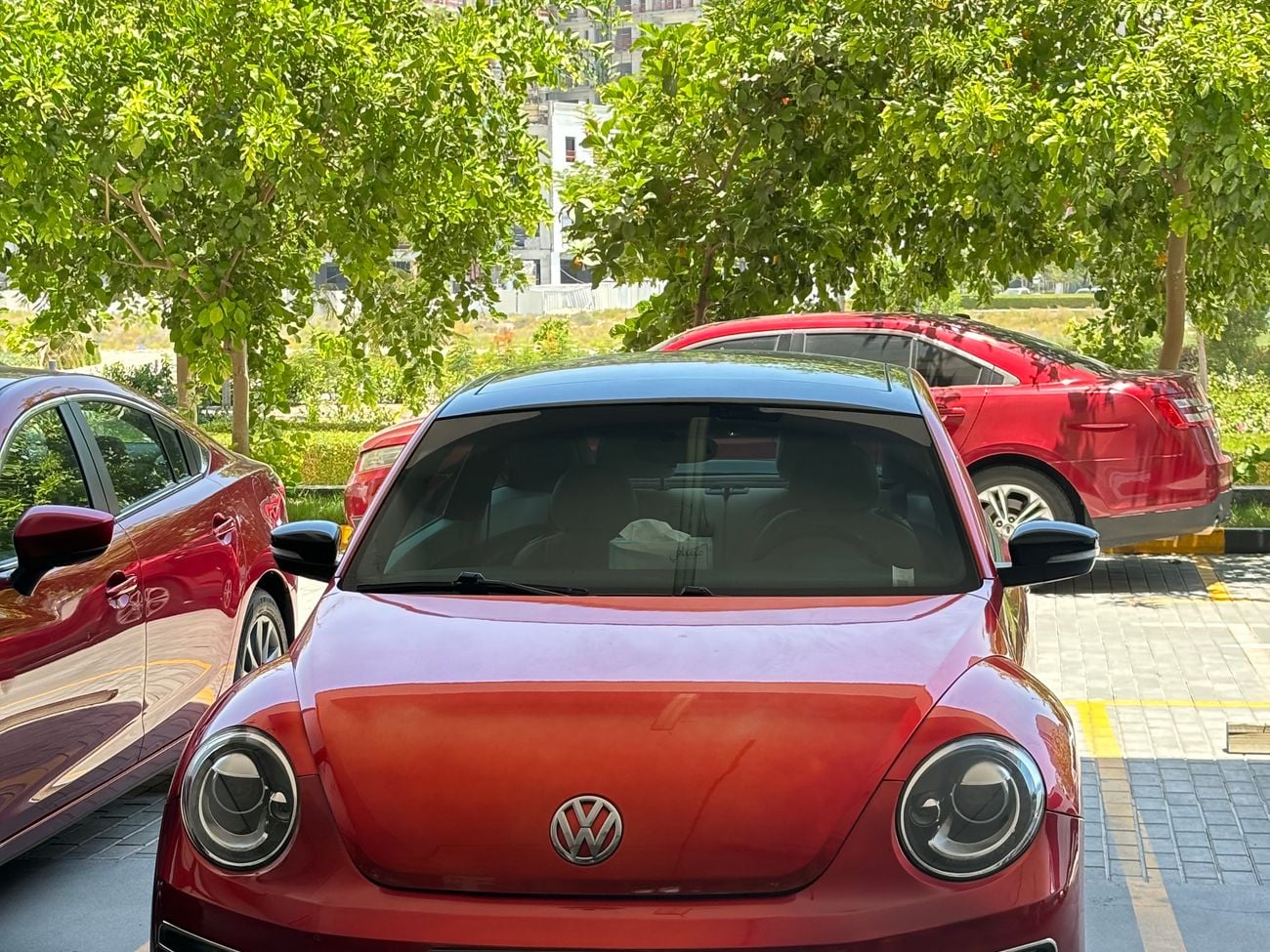 Volkswagen Beetle STD