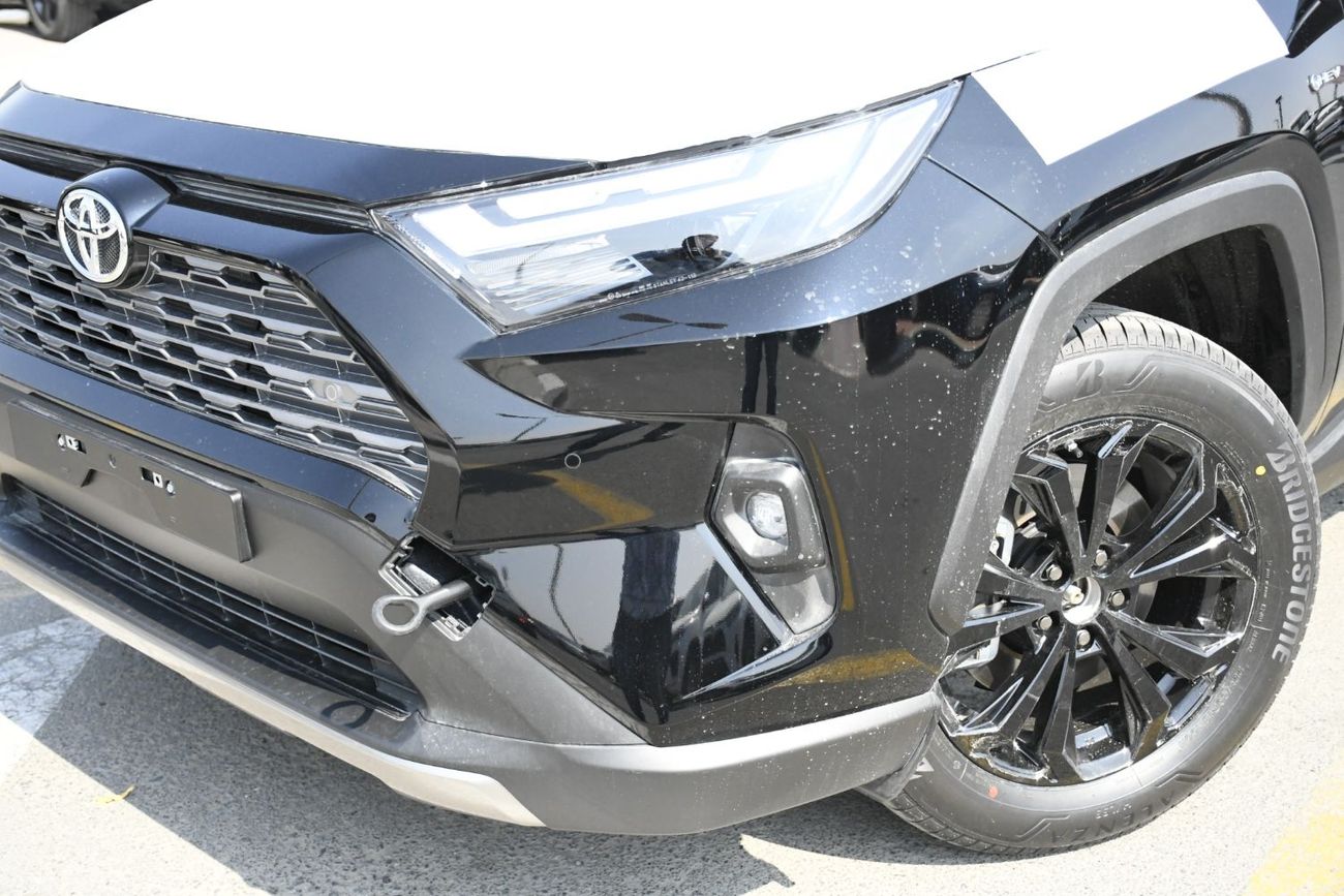 Toyota RAV4 2.5L HEV Limited  Full Option  Door Molding (Ready Stock)