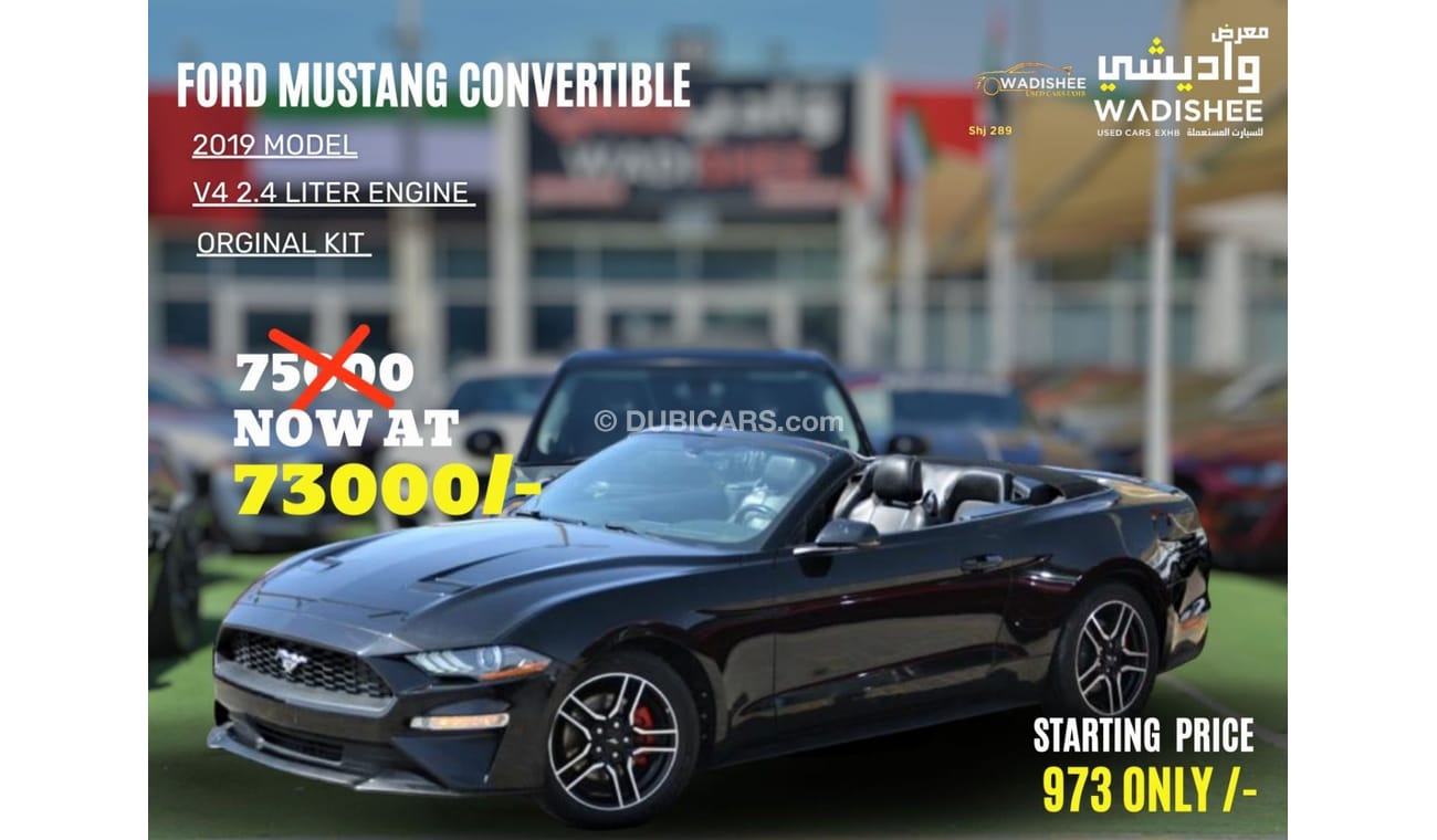 Ford Mustang JUNE SALE OFFERS**EcoBoost MUSTANG /CONVERTIBLE /ORIGINAL AIR BAG**