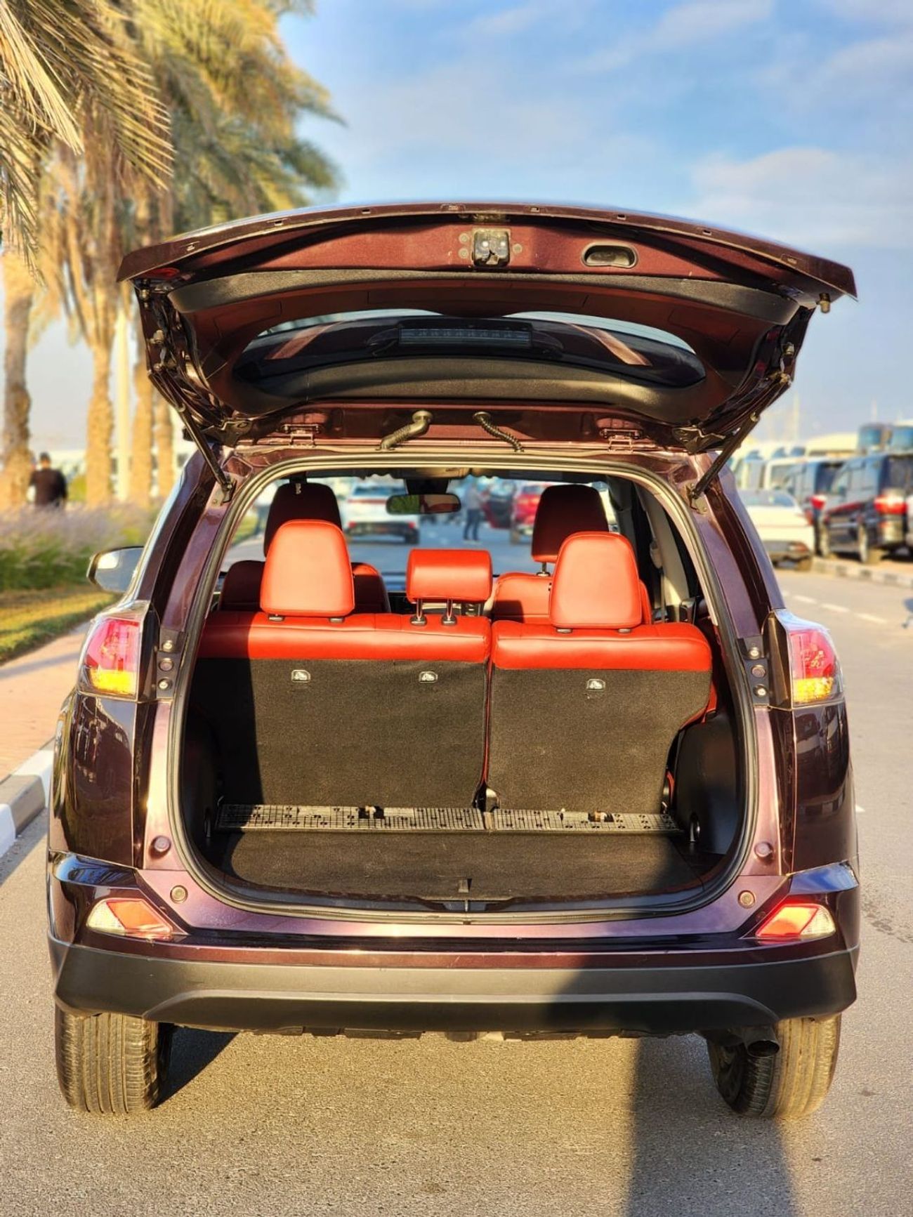 Toyota RAV4 EX TOYOTA RAV4 LE 2017 PURPLE