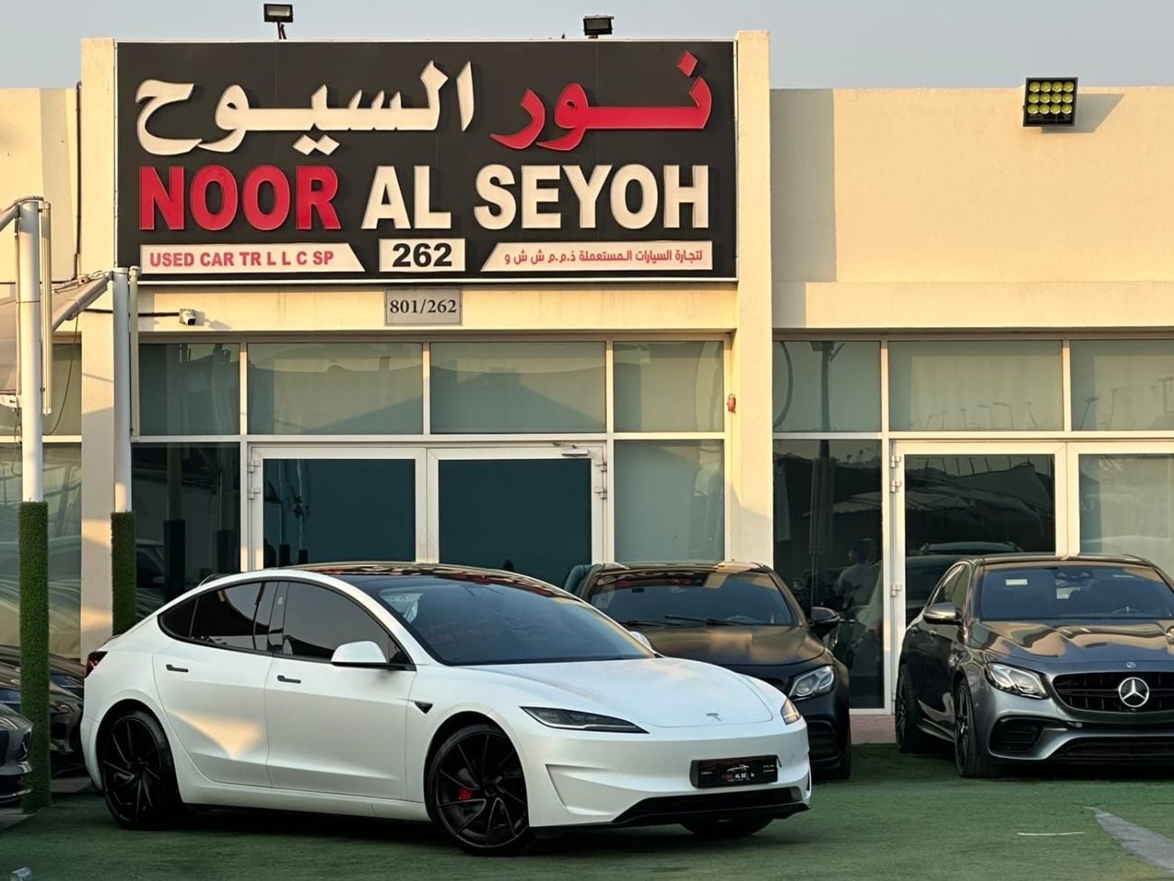 Tesla Model 3 PERFORMANCE