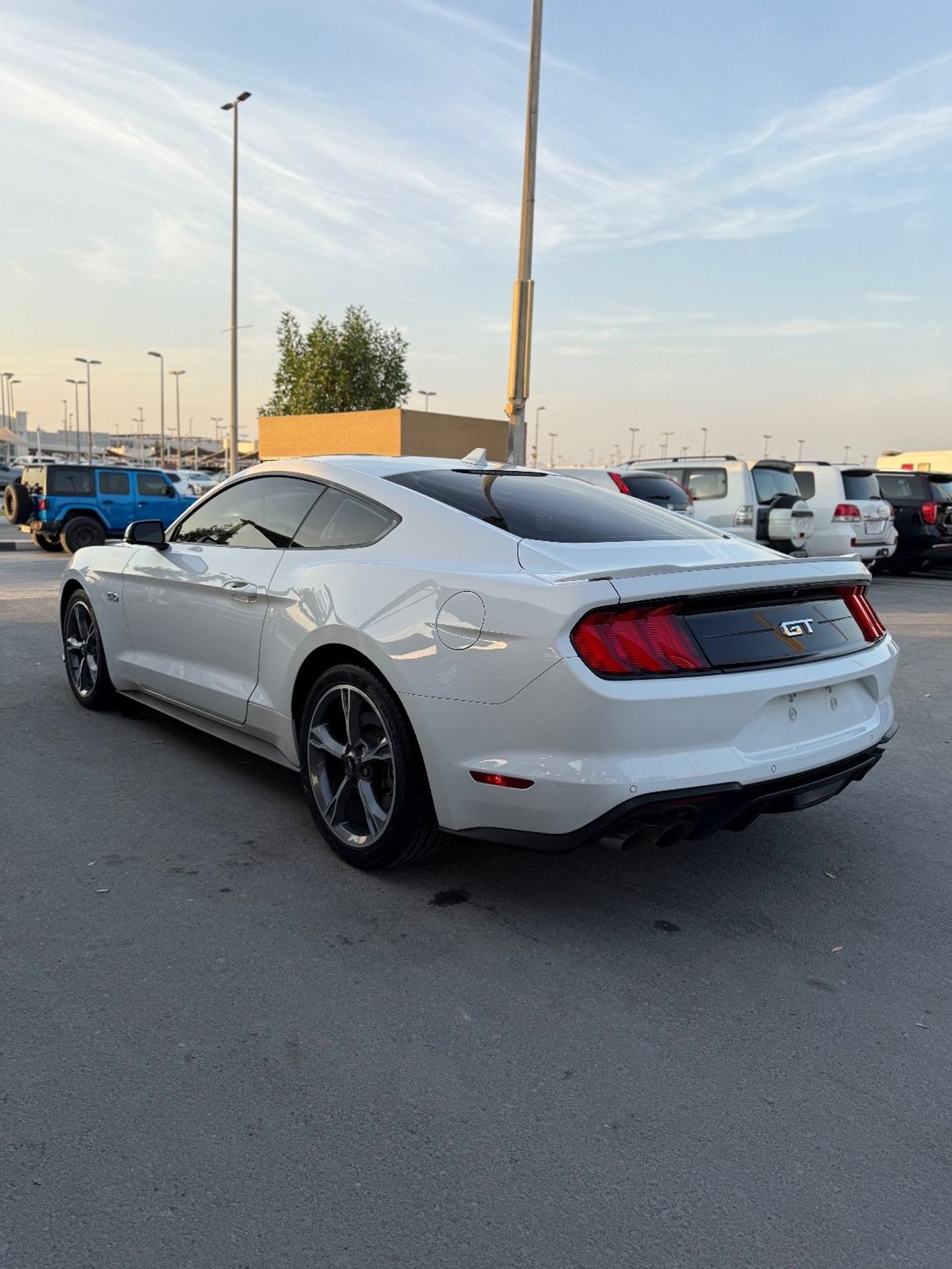 Ford Mustang GT Premium 5.0L V8