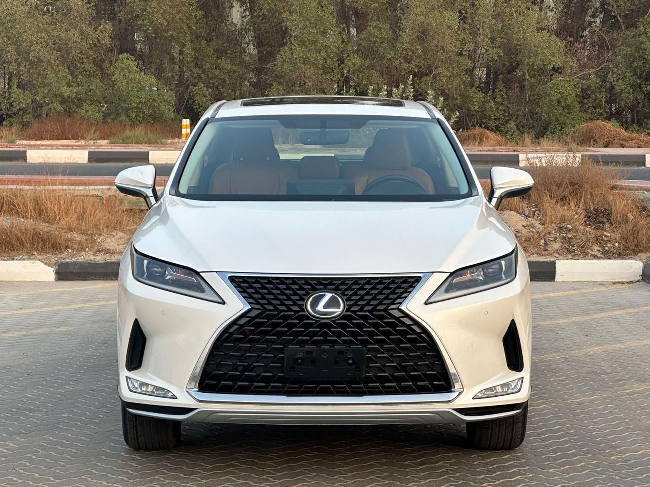 Lexus RX450h PRESTIGE