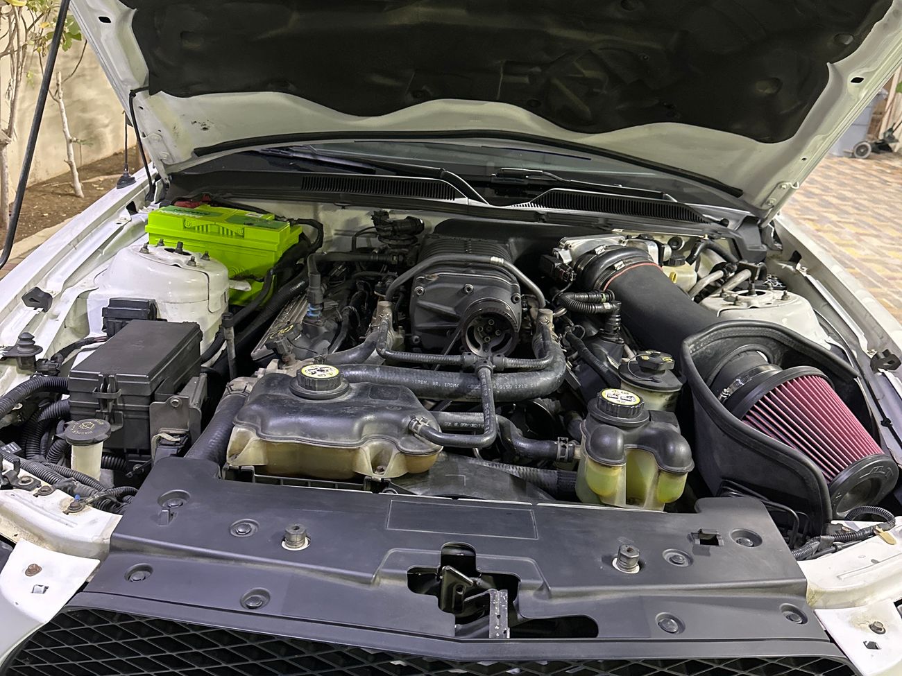 Ford F 150 mustang shelby