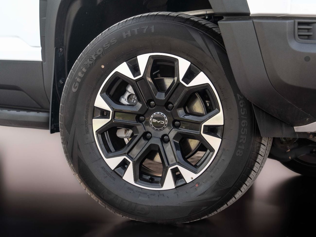 BYD Shark 6