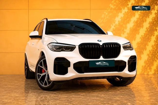 BMW X5 XDRIVE40i M SPORT, миниатюра 17