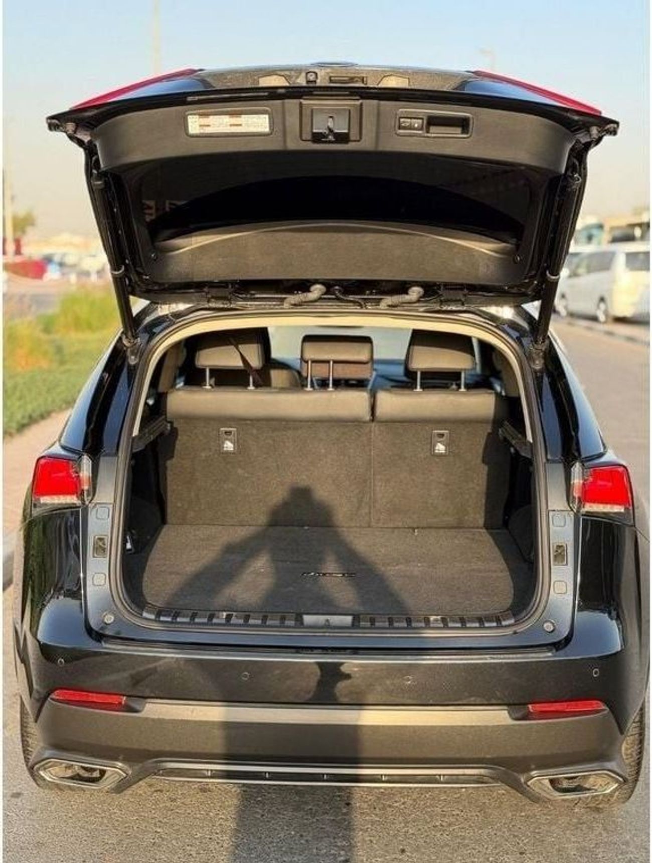 Lexus NX300 LEXUS NX300 Platinum