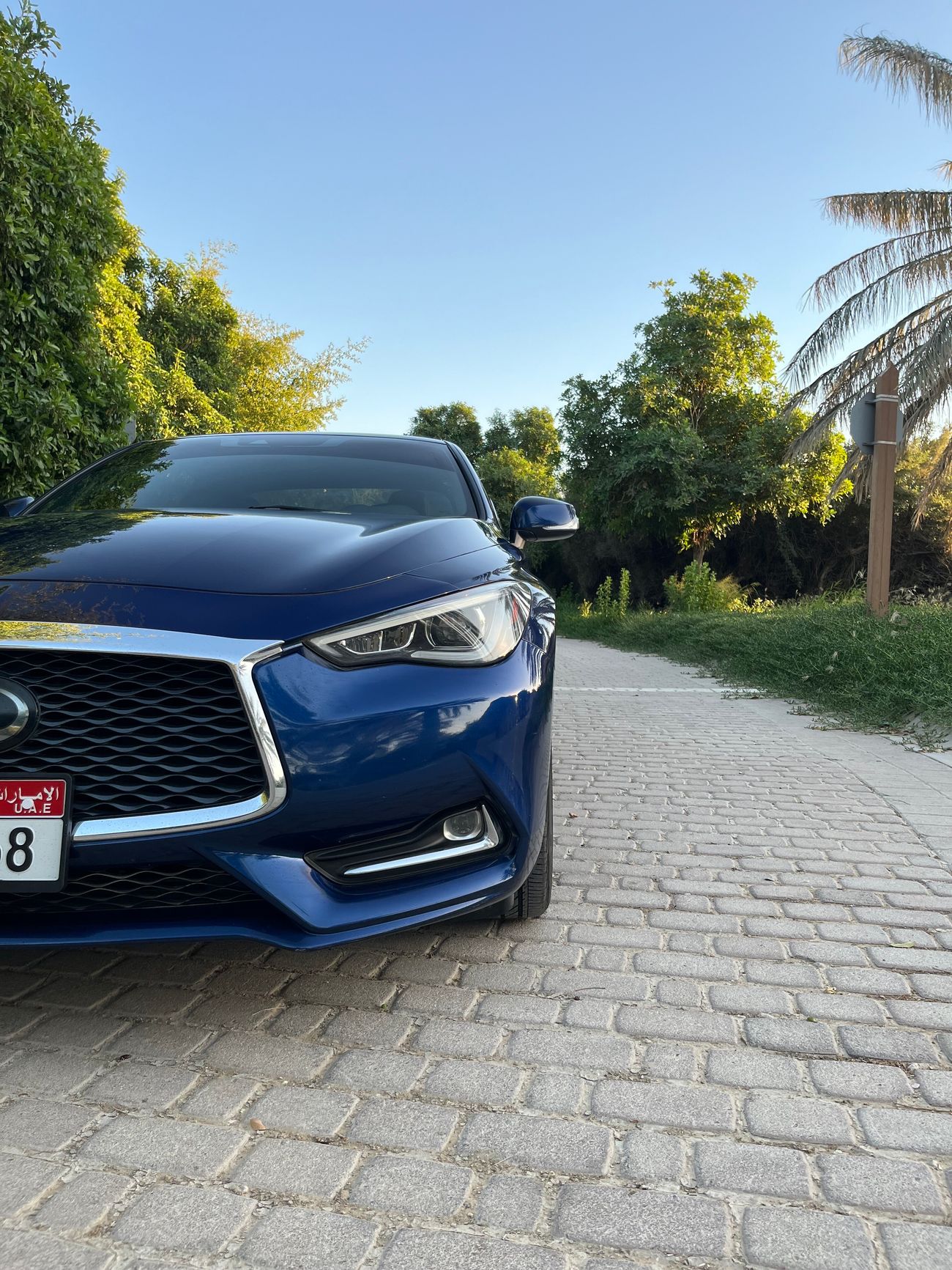 إنفينيتي Q60