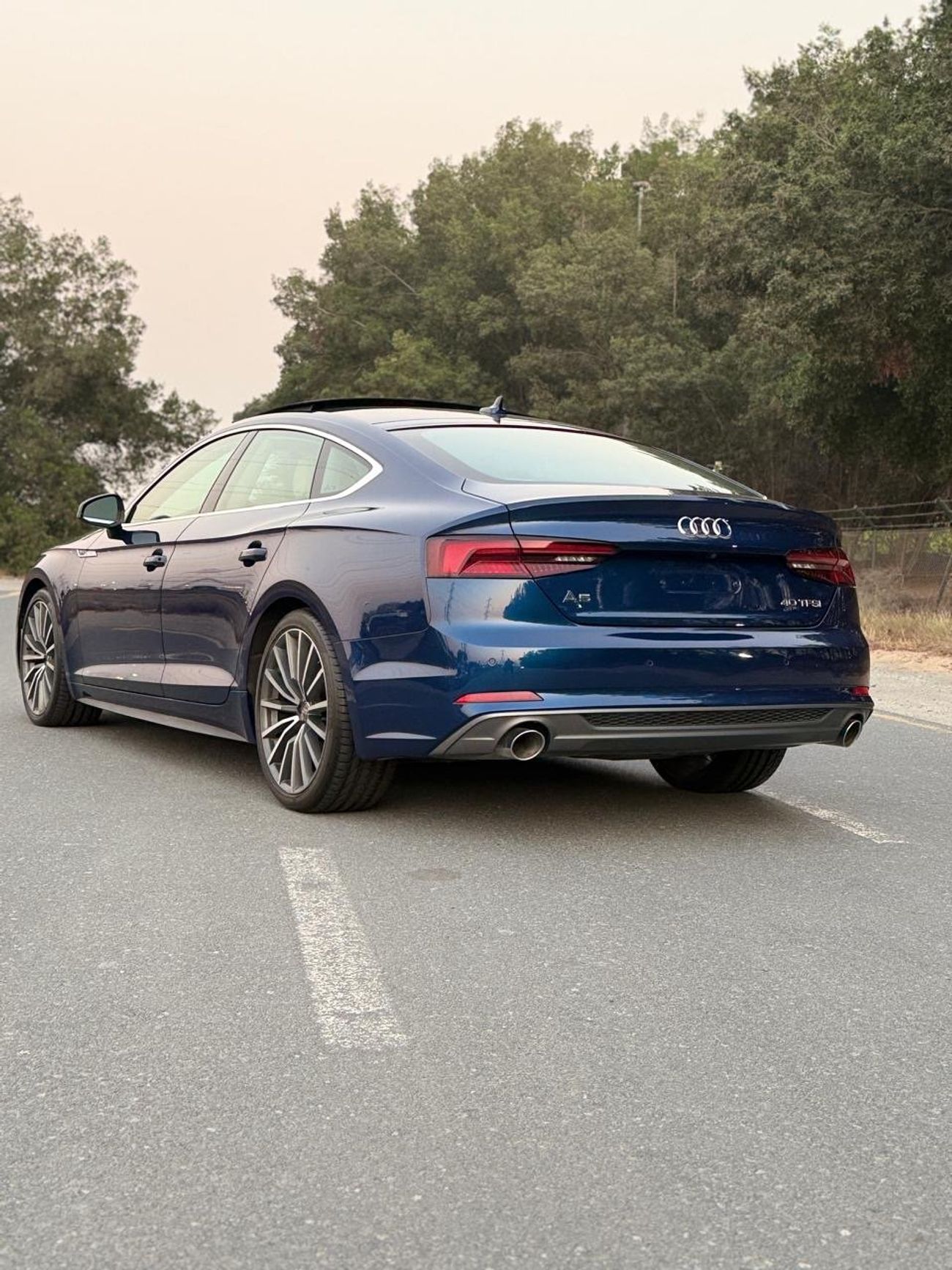 Audi A5 45 TFSI quattro S-Line 2.0L