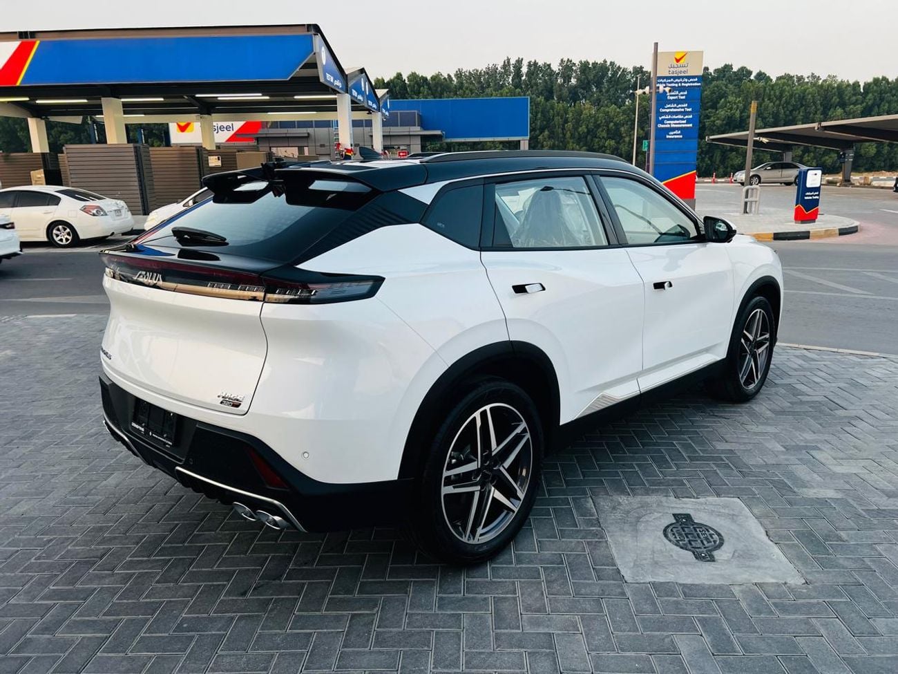 Dongfeng Mage