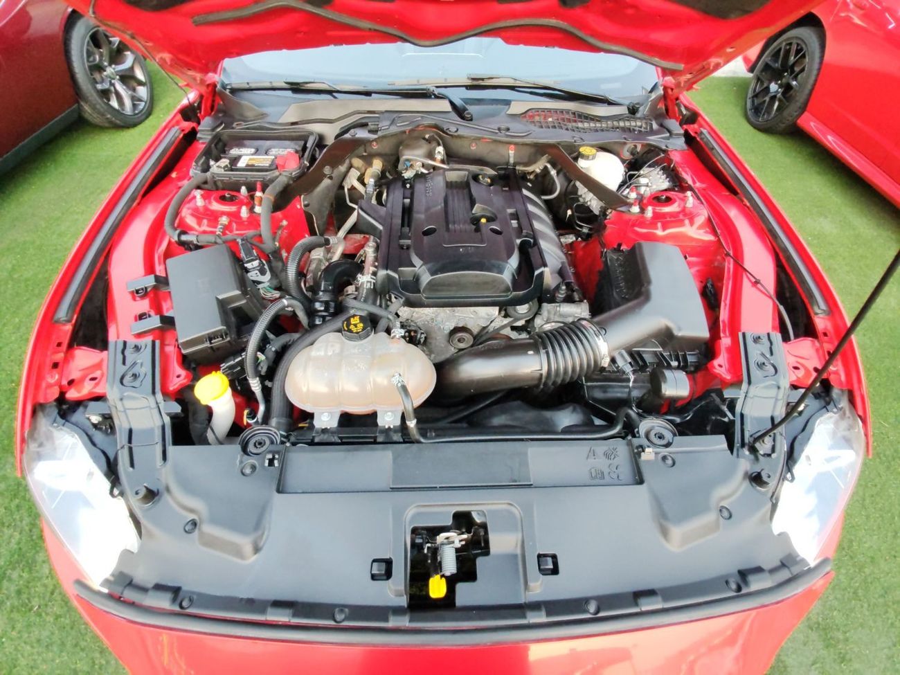 فورد موستانج ايكوبوست بريميوم Warranty one year