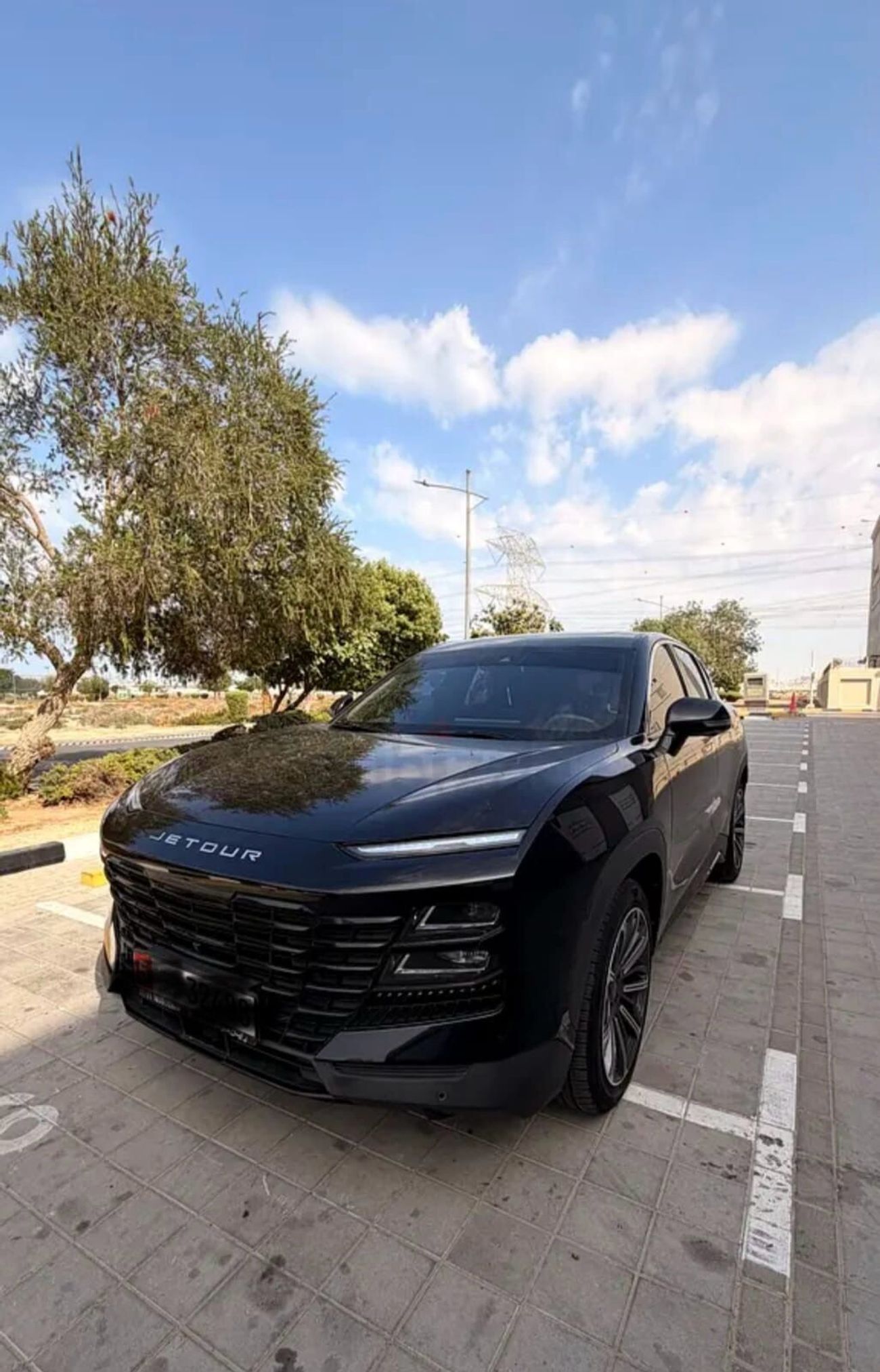 جيتور داشينج