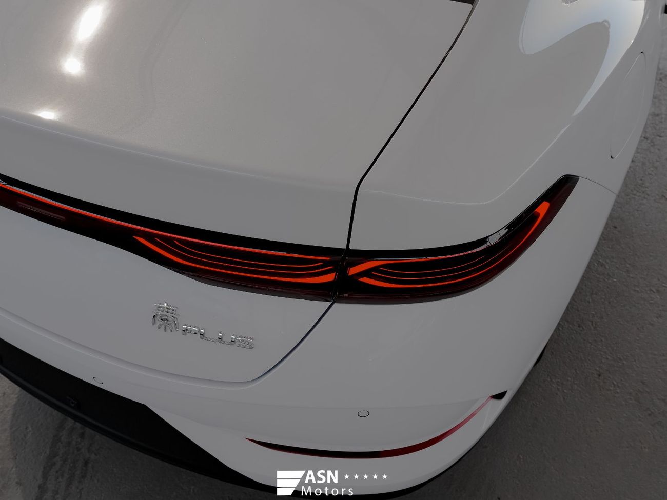 بي واي دي كين بلاس DM-I 55Km 2025 (Export Price)