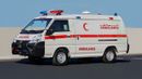CMC D 260 ( Only For Export ) 2025 CMC D260 Panel Van 2.4L RWD GCC 0Km