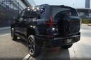 Dongfeng M Hero M917