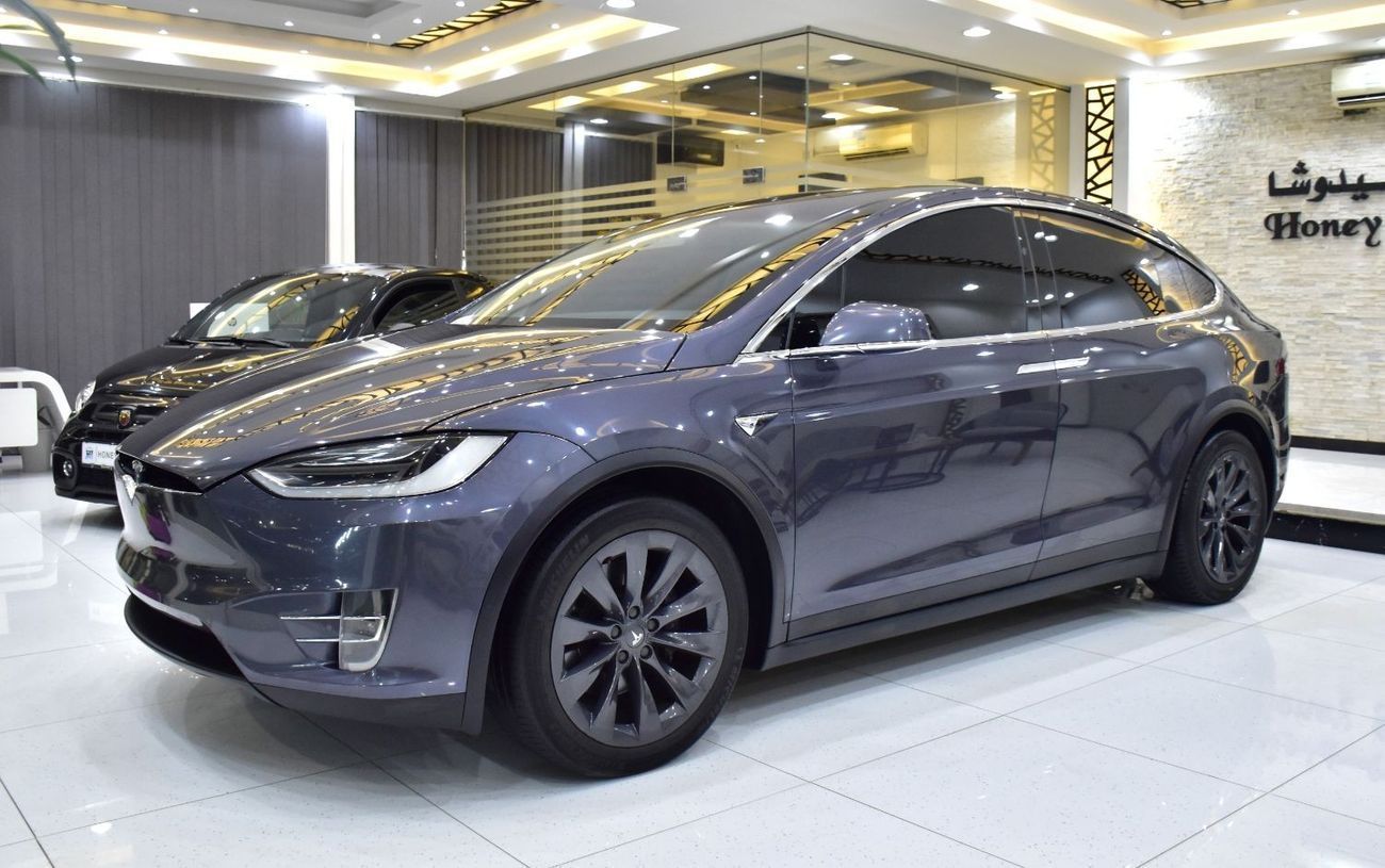Tesla Model X EXCELLENT DEAL for our Tesla Model X 100D - Long Range ( 2019 Model ) in Grey Color GCC Specs