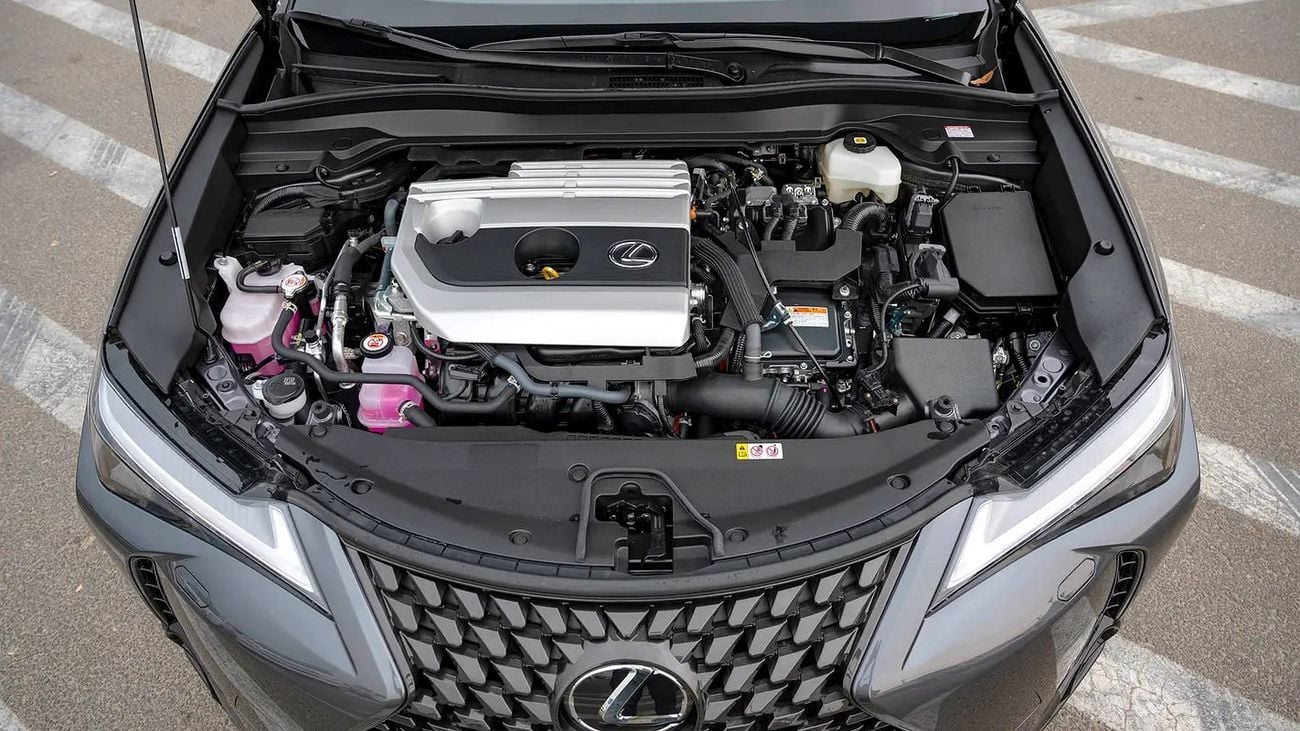 Lexus UX250h UX 250H | 2-YEAR WARRANTY + SERVICE AVAILABLE | IN-HOUSE FINANCING | 0% DOWNPAYMENT (BANK)