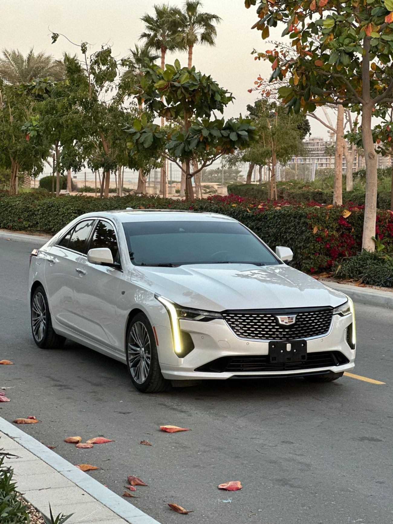 كاديلاك CT4 PREMIUM LUXURY LUXURY