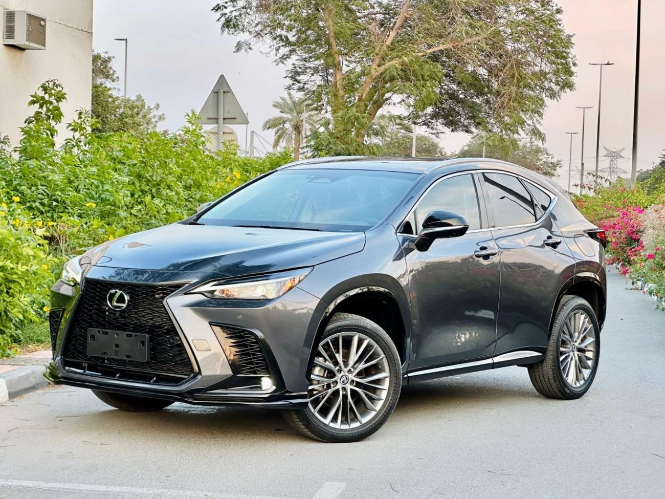 Lexus NX350 Luxury AWD Full Option