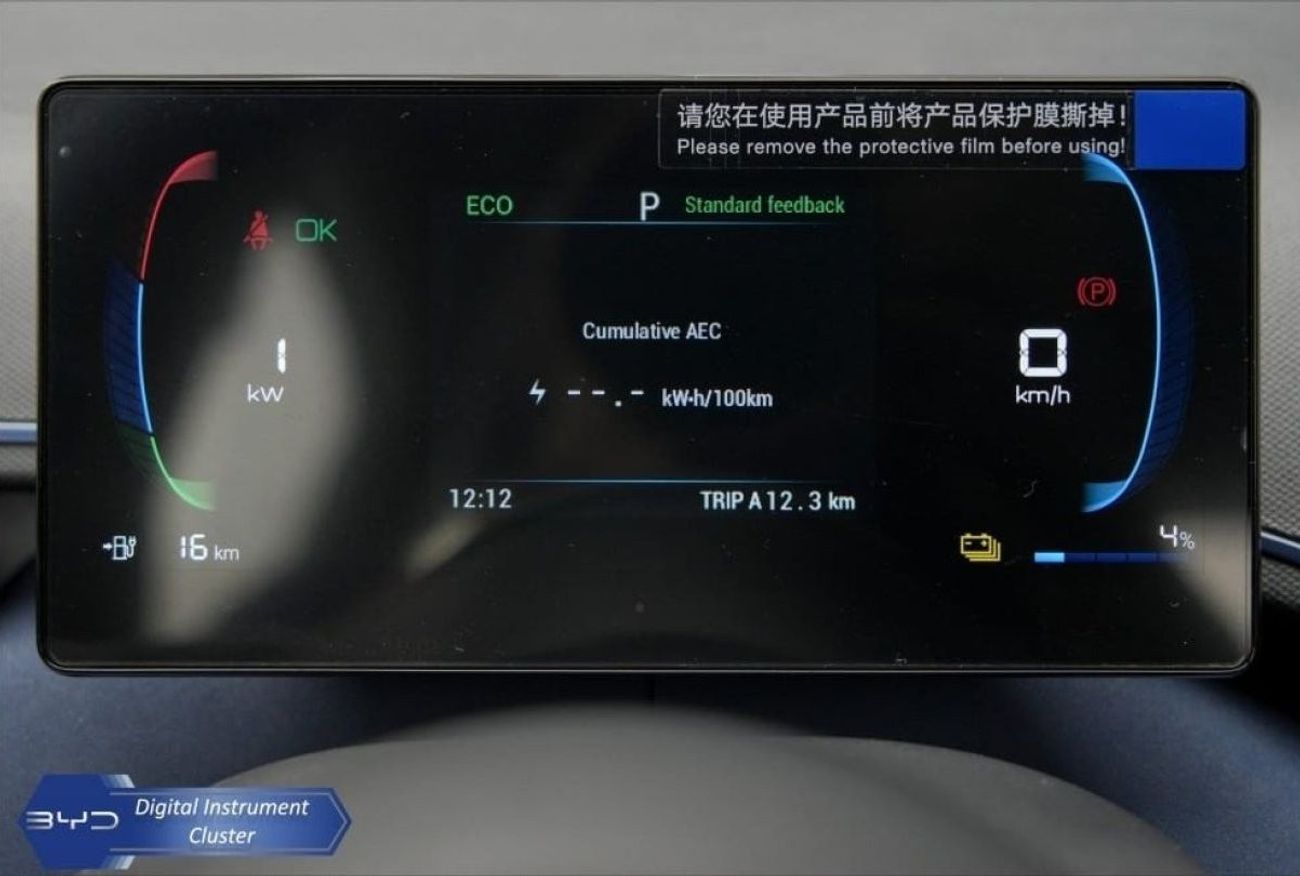 بي واي دي سيجول FLYING HATCHBACK ELECTRIC 2024