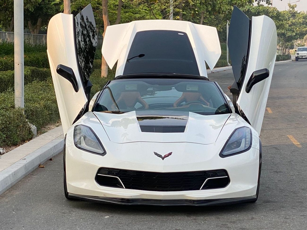 Chevrolet Corvette Z51 Competition SEats