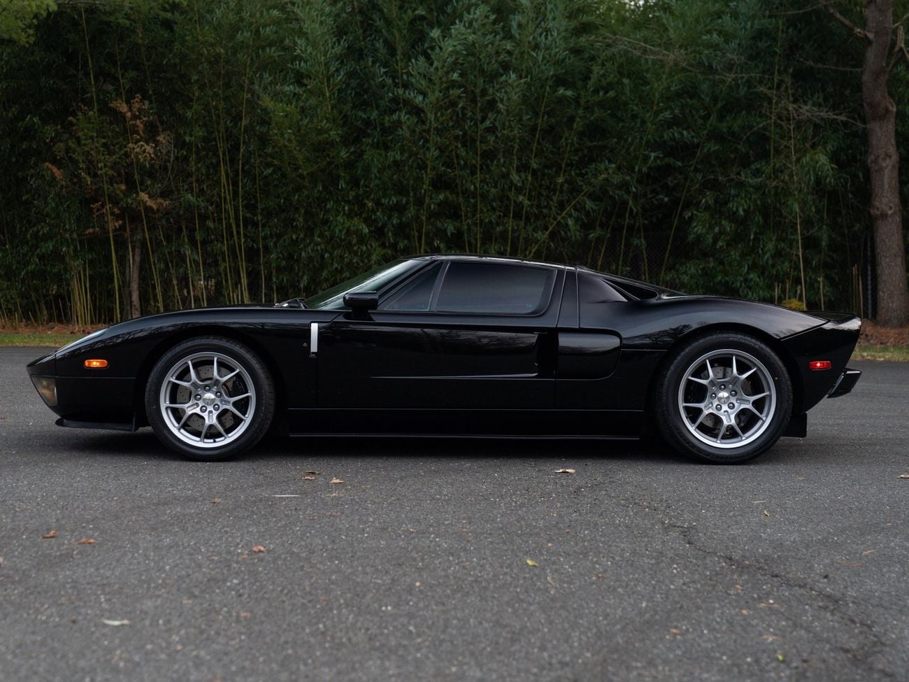 Ford GT Rare 1 of 14 Stripe Delete