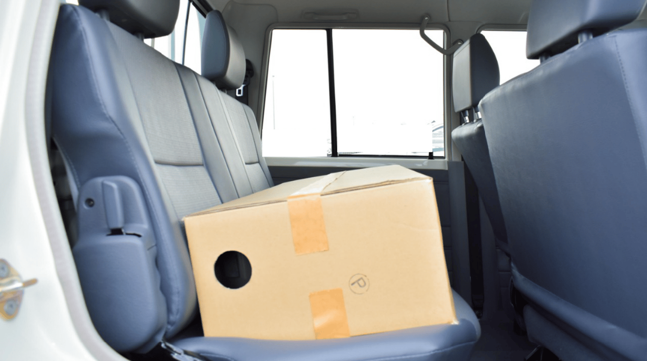 Toyota Land Cruiser Pick Up ECTJRY001 - 2023 Toyota LC79 Double Cab - 4.2L Diesel Manual - White