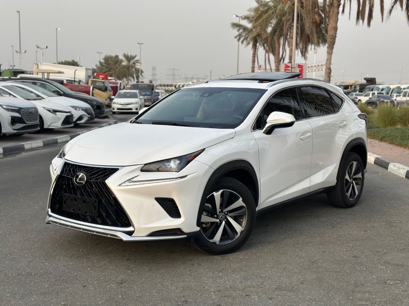 لكزس NX 300 LEXUS NX 300 2020