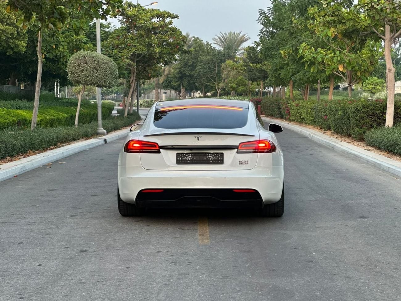 Tesla Model S PLAID