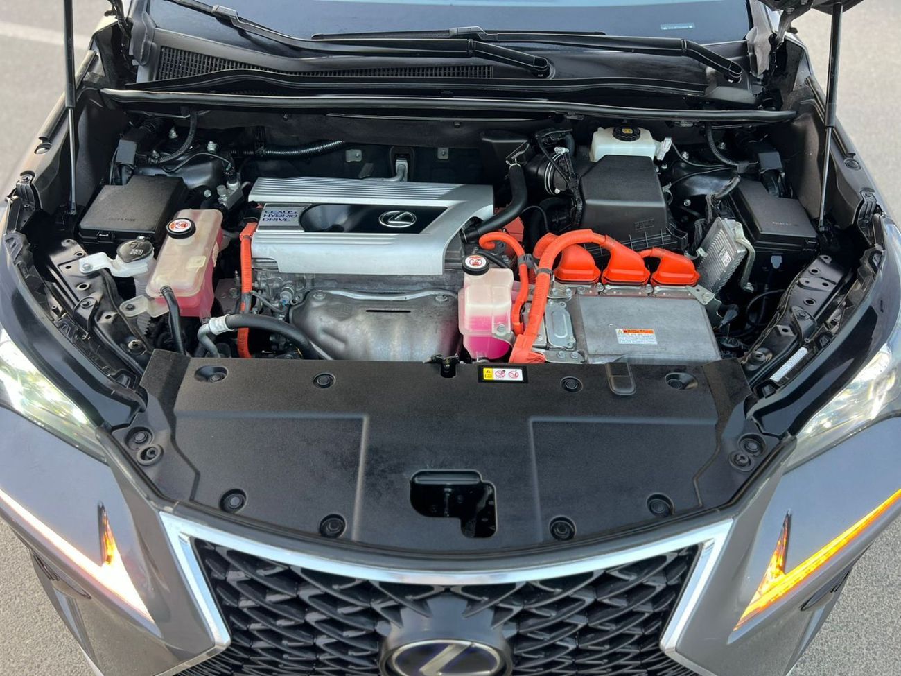 Lexus NX300  2019 Lexus NX 300h Hybrid  Full Option - 2.5L V4 - Rear Camera & Sensor - Sunroof - Leather Seat