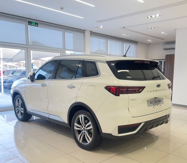 Ford Territory TITANIUM, миниатюра 24