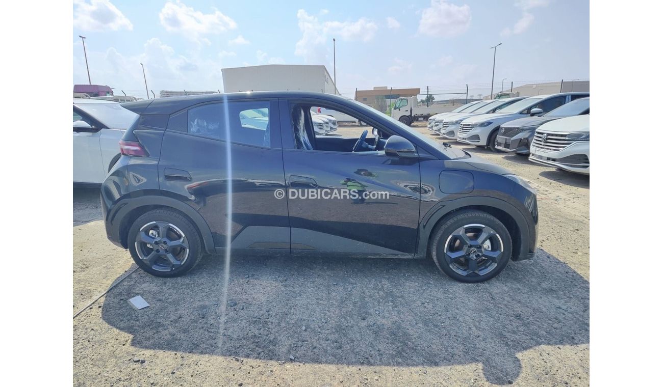 BYD Dolphin EV Seagull