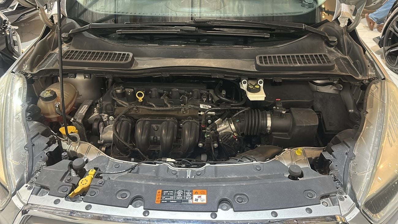 Ford Escape S