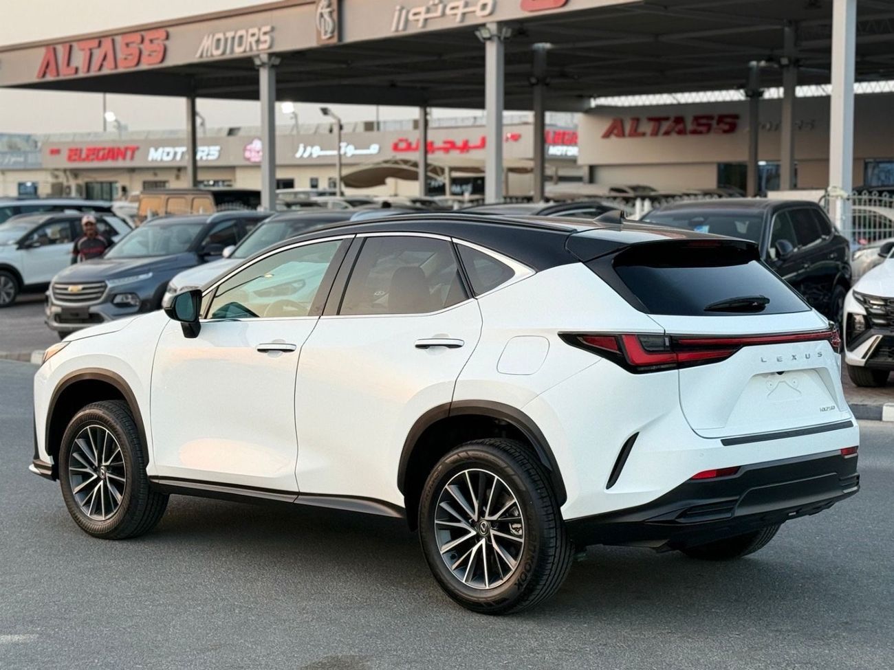 Lexus NX 250 Lexus NX 250 premium 2025