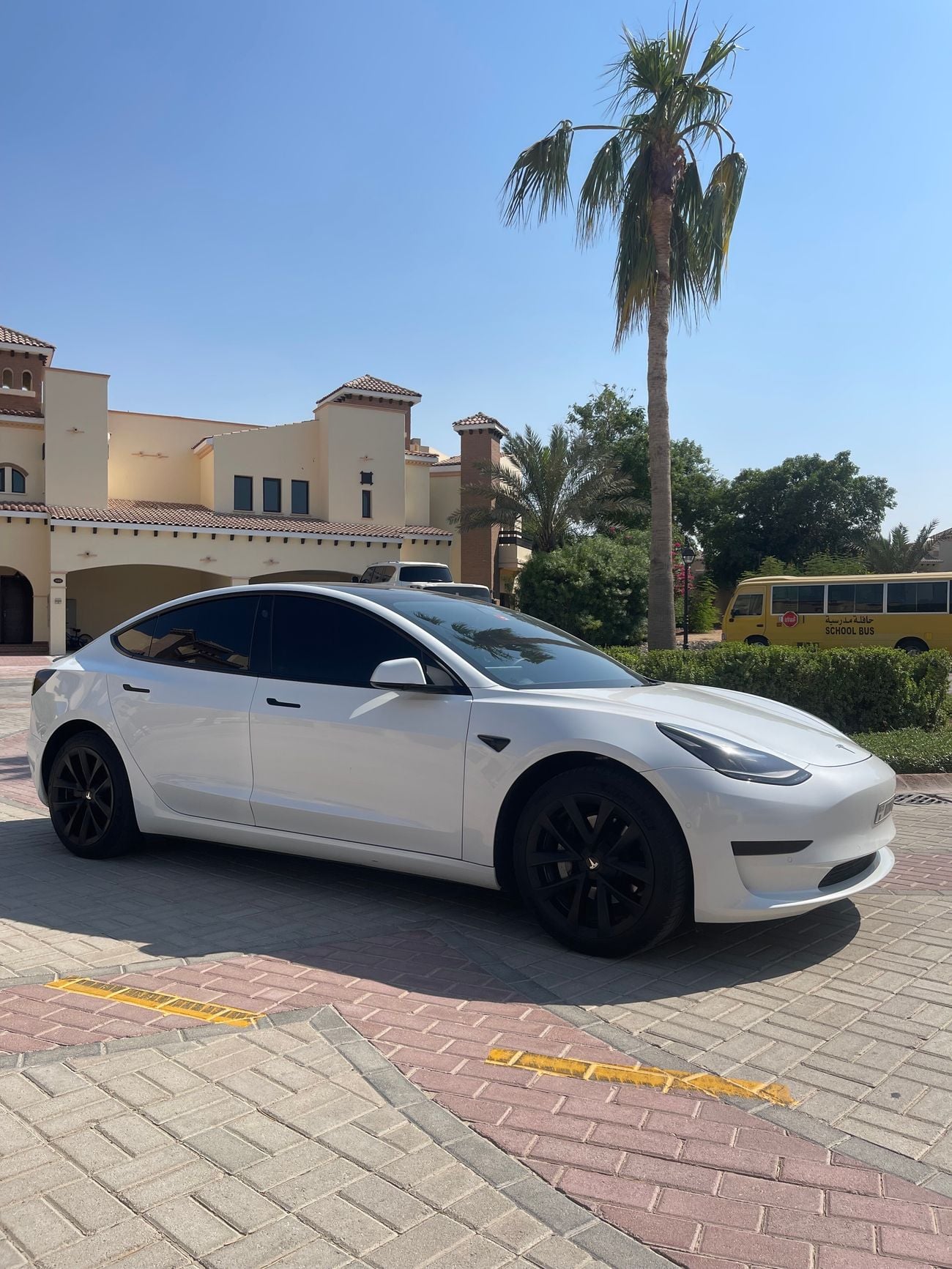 Tesla Model 3 STANDARD RANGE