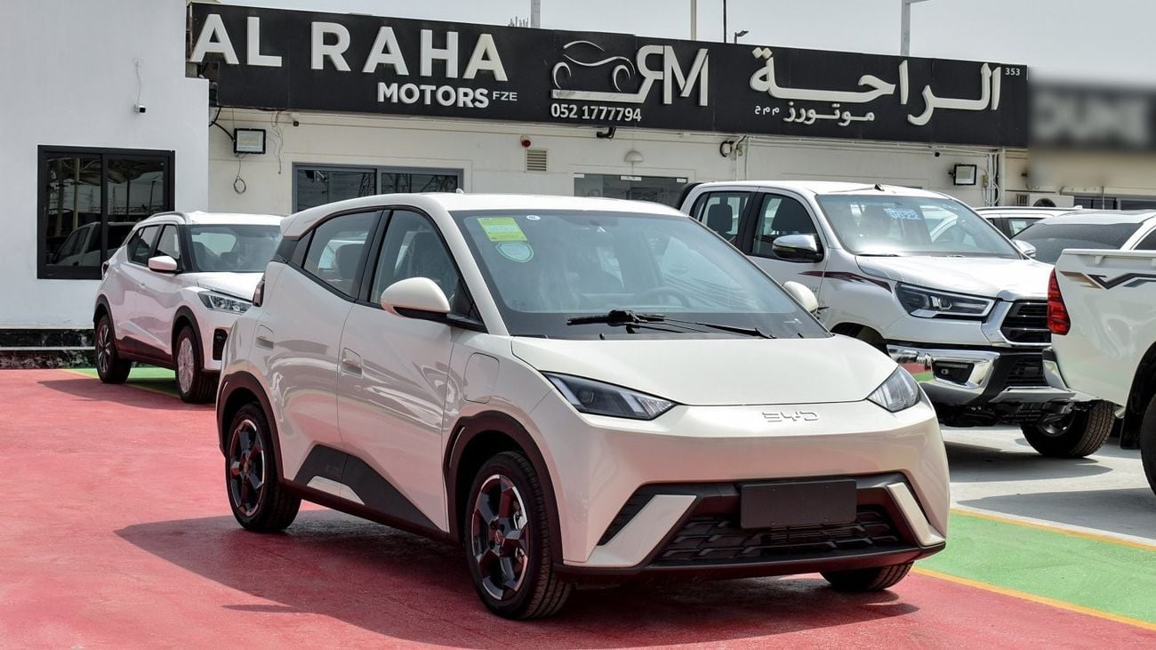 بي واي دي سيجول EV