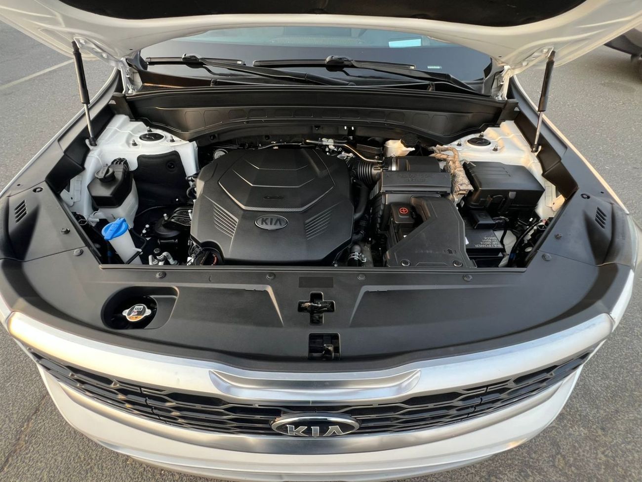 كيا تيلورايد 