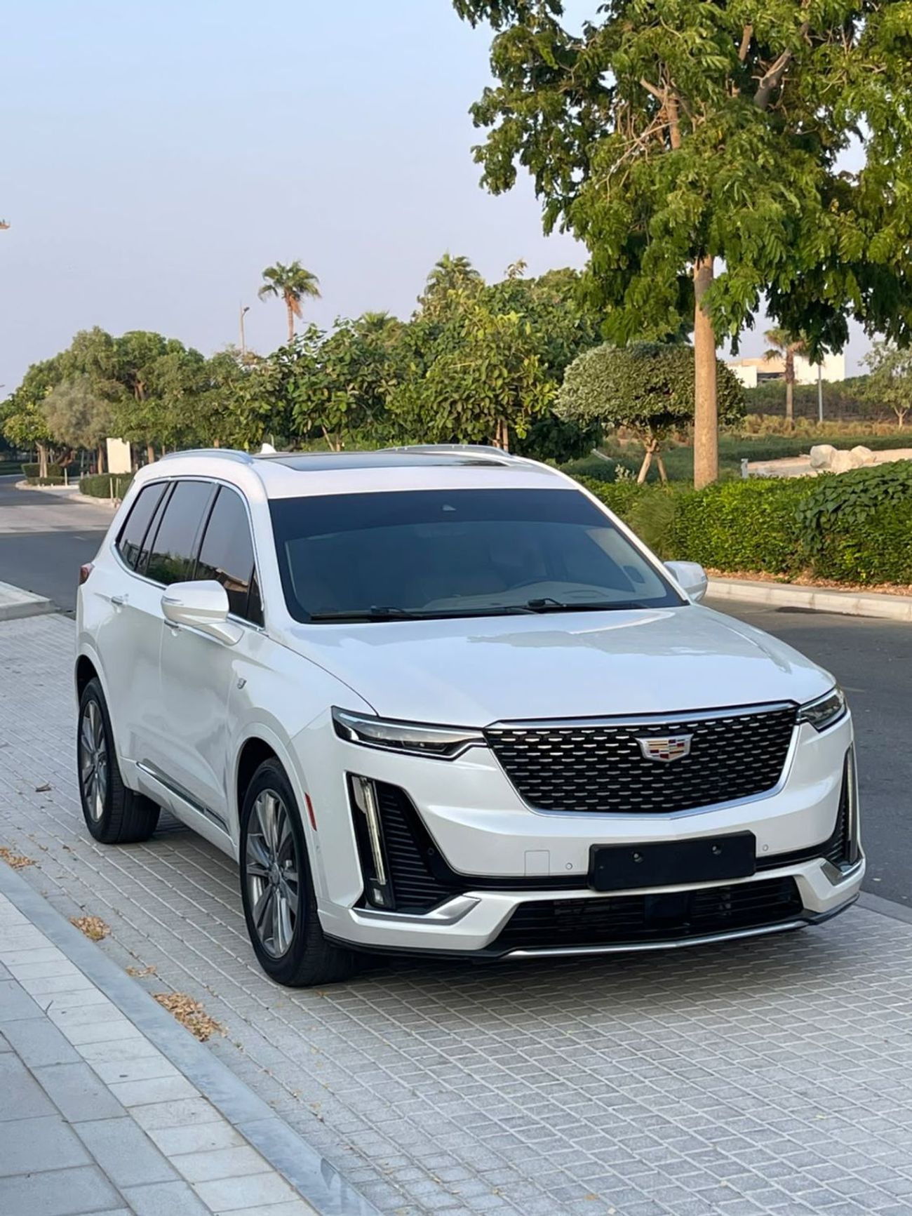 Cadillac XT6 PREMIUM LUXURY