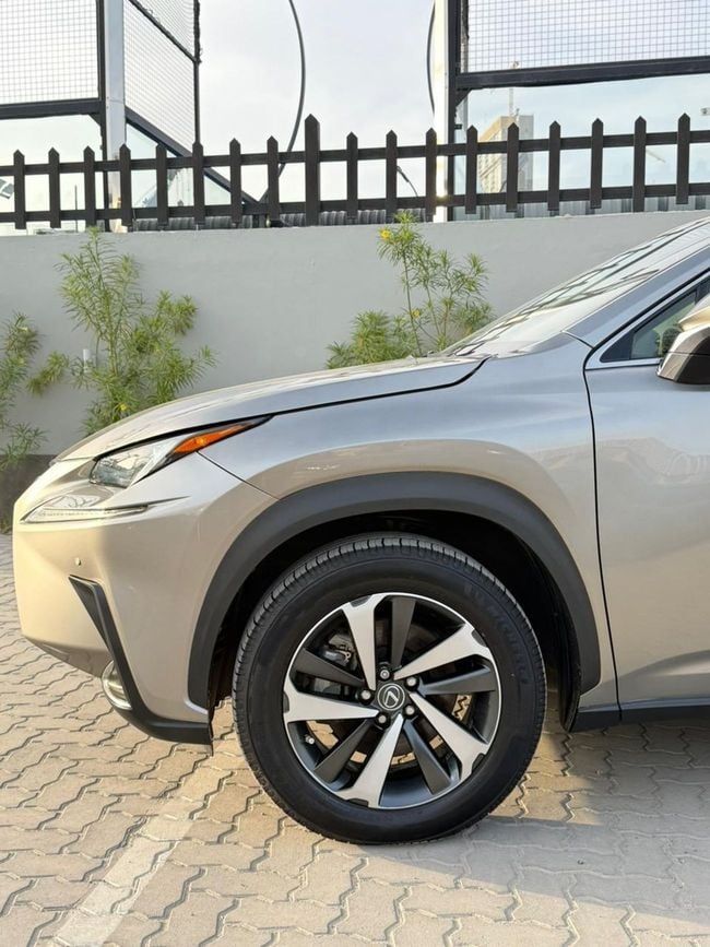 Lexus NX NX300 2021, миниатюра 27