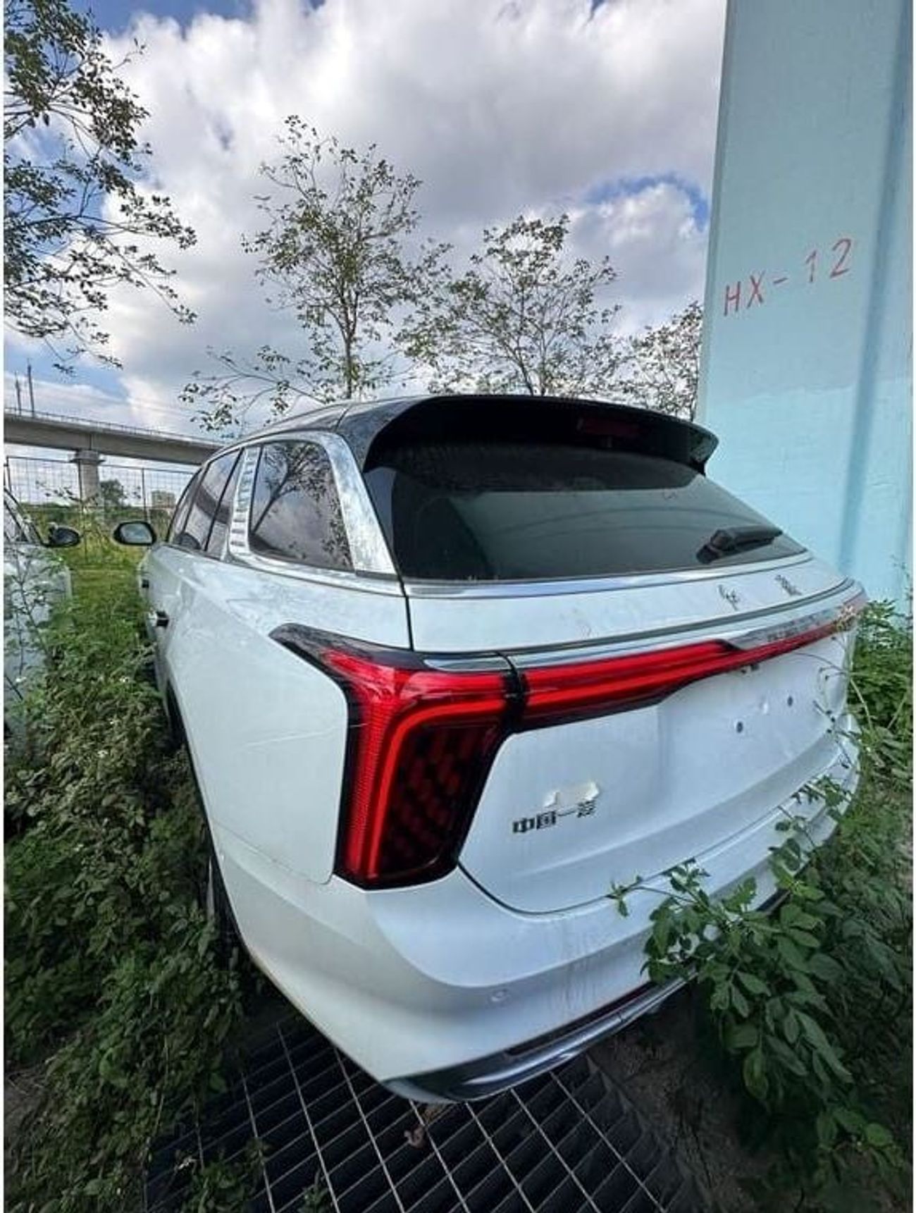 HONGQI EHS9 Hongqi EHS9 Standard 6 Seater