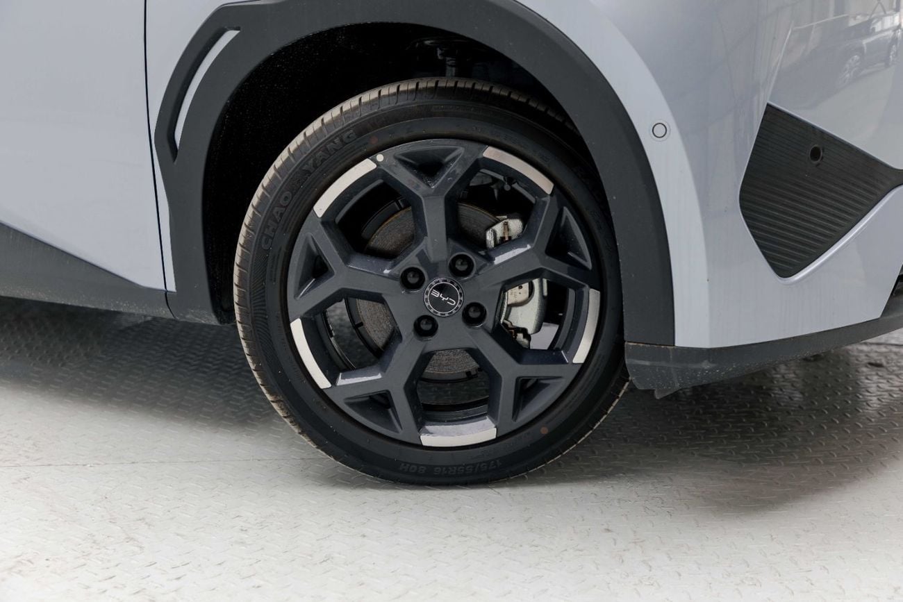 BYD Seagull ID Flying - Blue Inside Blue | Export Only