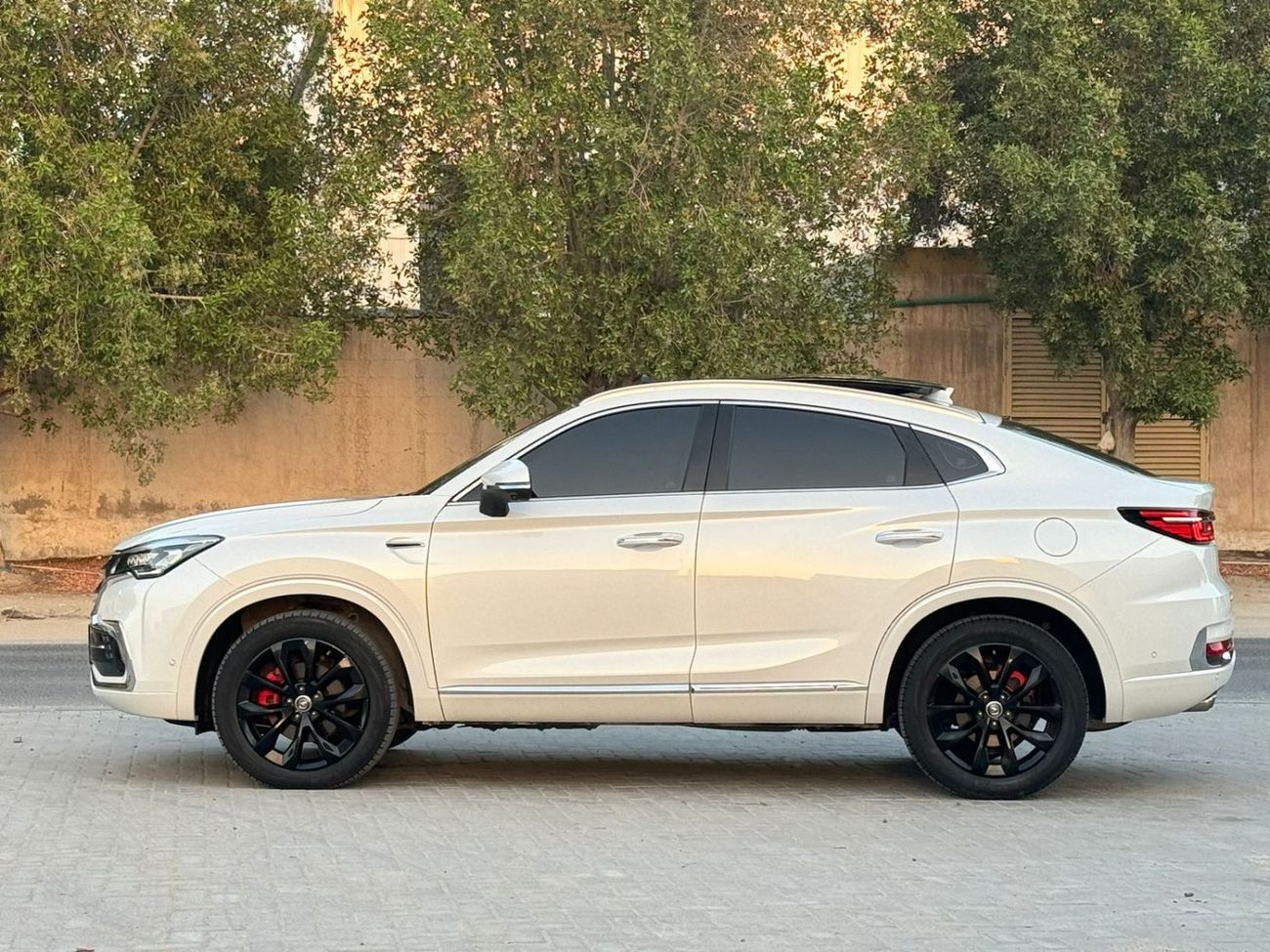 تشنجان CS85 بريميوم