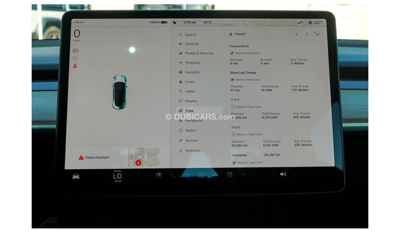 Tesla Model 3 Performance