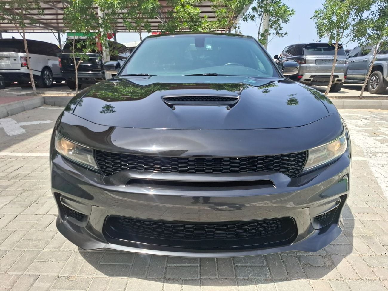 دودج تشارجر دودج 2022 تشارجر V8