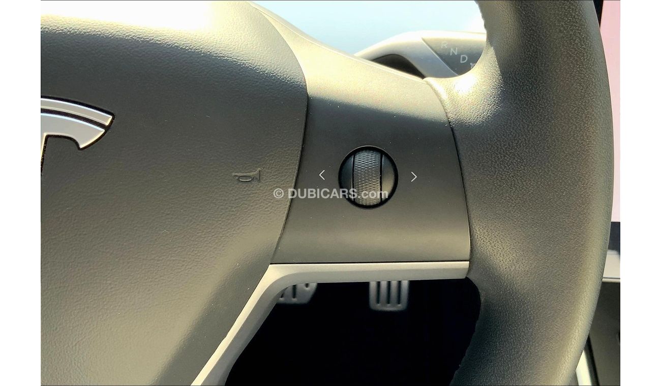 Tesla Model 3 Performance (Dual Motor)