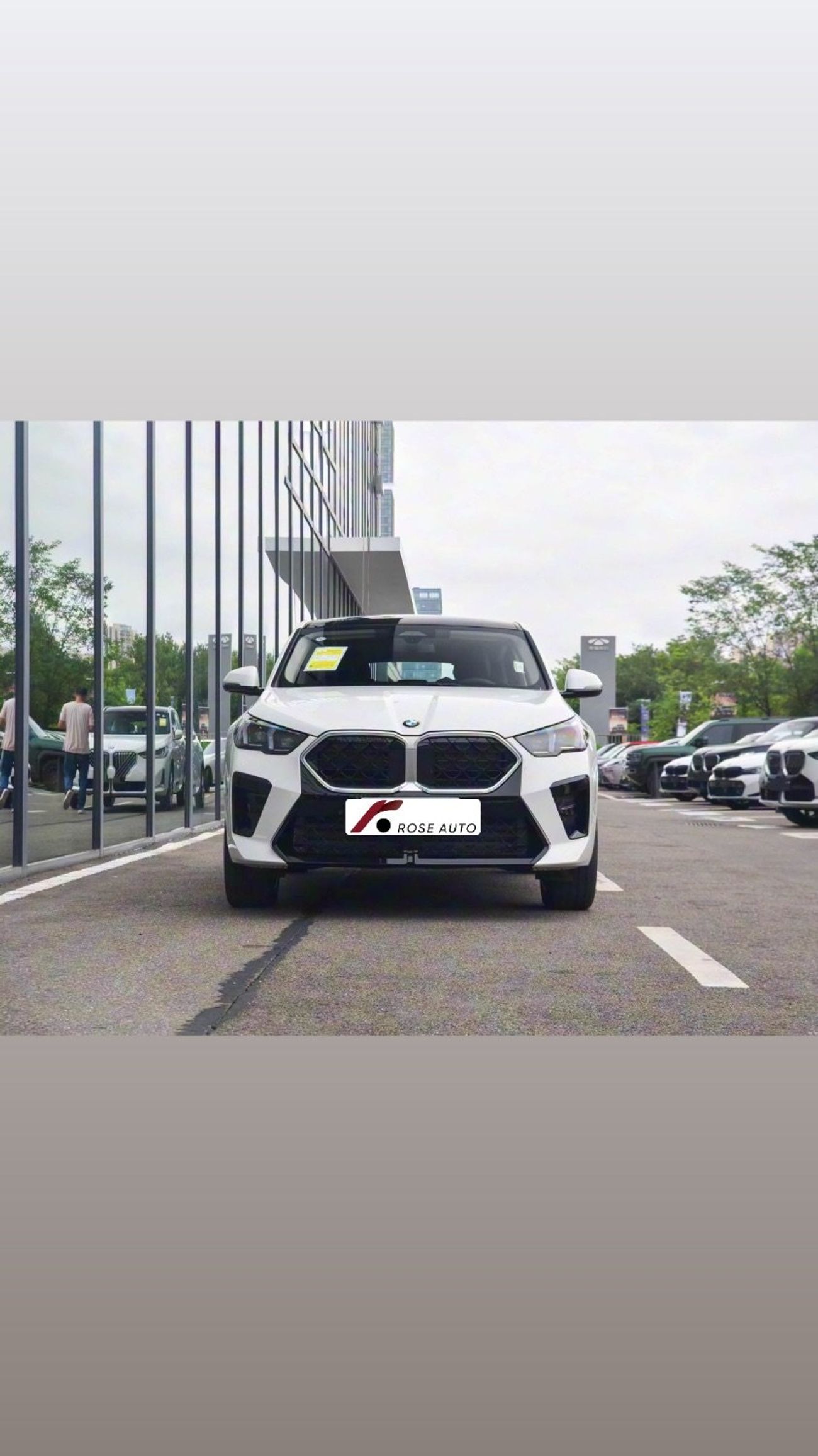BMW X2 BMW X2 / Full / white , Tan ,grey /2026