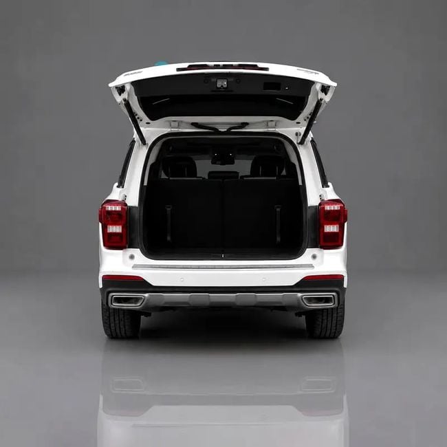 GAC GS8 GX, миниатюра 18