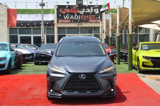 Lexus NX PREMIER, миниатюра 28